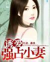 诱妻入怀.总裁强势宠漫画