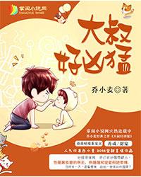 大叔好坏txt